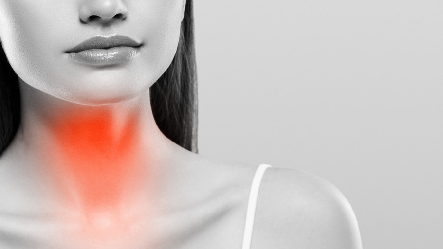 Щитовидная железа — небольшой эндокринный орган